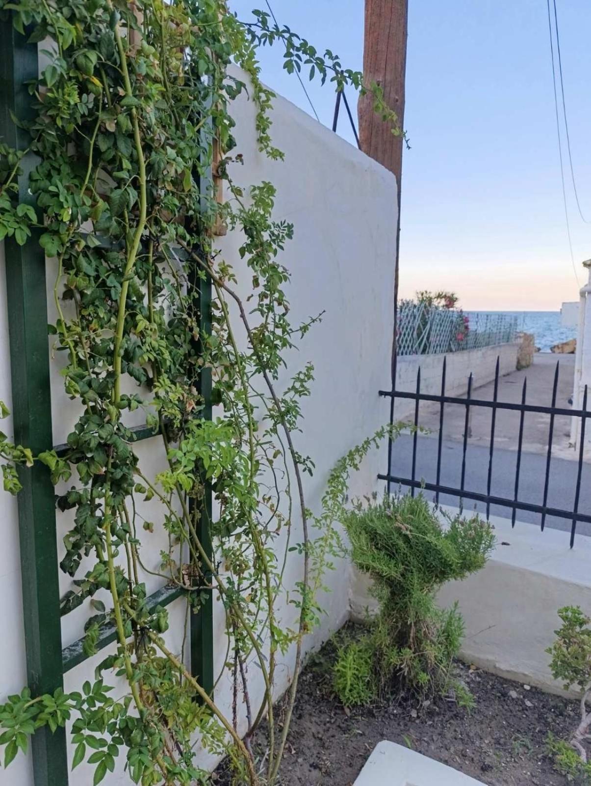 Jasmine Home By The Sea By 8Essentially Kalívesz Kültér fotó